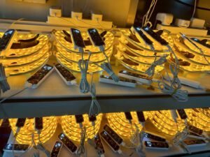 WINJOY Professional LED Face Mask Factory quality testing